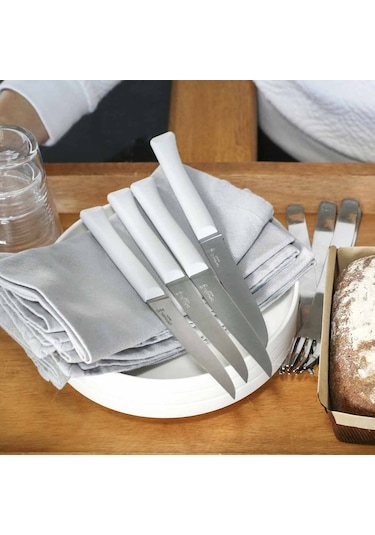 Opinel Bon Appetit 4 Parça Paslanmaz Sofra Bıçağı Çok Renkli