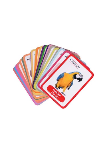Bebeğimin İlk 100 Kelime + 12 Ay Kartları Moli Toys