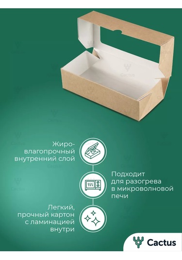 Cactus Pencereli Kraf Kutu Tek Kullanımlık Kapaklı Kutular 138246368 100 adet