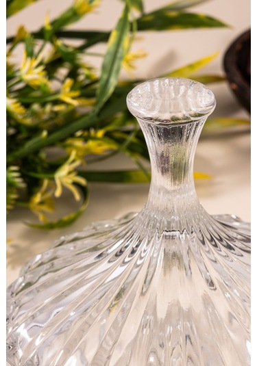 Çarşıdayız Brasilia Cam Kapaklı Şekerlik - Şık Ve Modern Tasarımlı Şeker Saklama Kabı Şeffaf