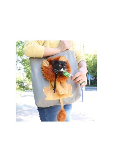 Vkemall Küçük Kedi/ Köpek İçin Soluk Gri Kanvas Taşıma Çantası - Soluklu, Taşınabilir, 5 Pound Kapasitesi, S Boyutu