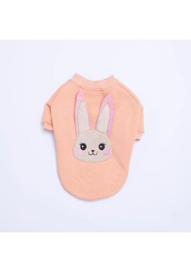 Pawstar Pembe Dublin Hopper Polarlı Küçük Irk Köpek Sweatshirtü