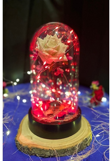 Anneler Gününe Özel Beyaz Gül Kırmızı Fanus Lamba Usb'li Yapay Çiçek Dekoratif Aydınlatma Hediyelik