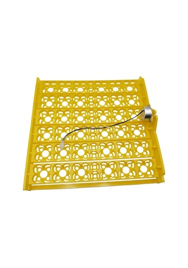 Pazly Suntek Motor Kümes Kuluçka Hayvanları Dc Cihazı Çiftliği Jn