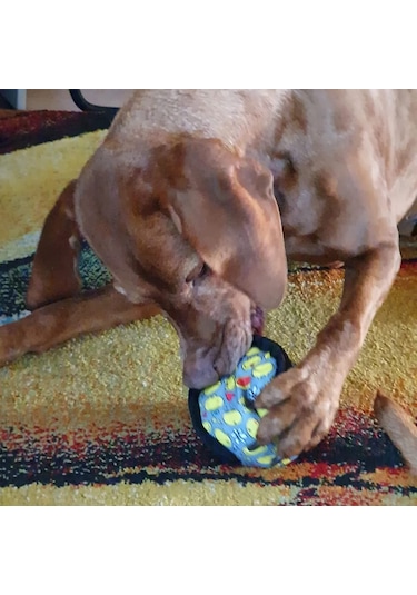 Havhav Lotus İnteraktif Mama Saklamalı Köpek Oyun Topu 11 CM