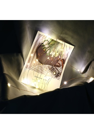 Xindoker "100 Led'li 10 Metre Usb Fotoğraf Klipsli Işık Şeridi - 50 Klipsli Dekoratif Aydınlatma" Beyaz