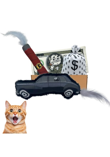 Miyav Mafya Temalı 4'lu Kedi Oyuncak Seti