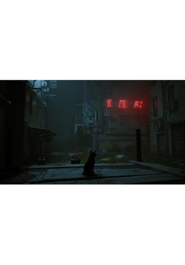 Annapurna Interactive Stray Nintendo Switch Oyun