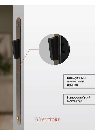 Vettore Manyetik Dil Tip Gömme Kilit 215236653 Zirveli