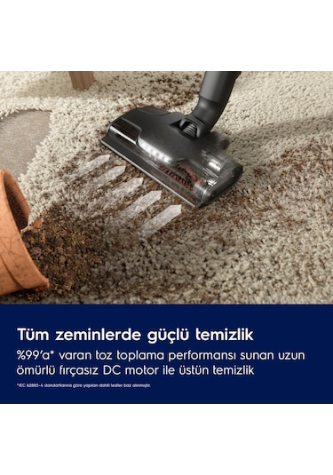 Electrolux EP82AB25UG 800 Serisi Animal Dikey Şarjlı Süpürge