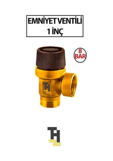 Emniyet Ventili 1 İnç 8 Bar