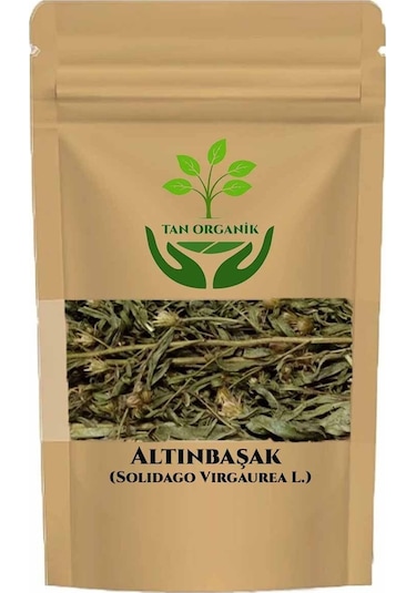 Altınbaşak Andız Otu Solidago Virgaurea L. 500gr