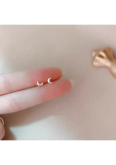 Kadın Küpe 1069 Ayar Gümüş Kaplama Platin Takı Küçük Boy Gümüş 145 Küçük Boy Gümüş