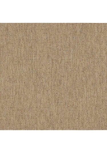 Düz Bej Kahve Hasır Modern Halı - L662bjbo