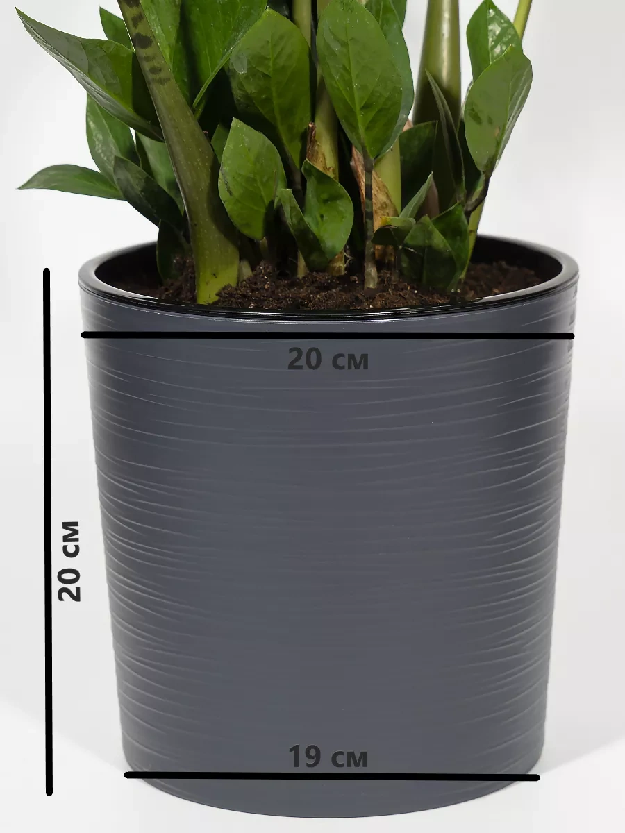 Live-in-green 5 Litrelik Otomatik Sulama Özellikli Büyük Ayaklı Saksı 165191215