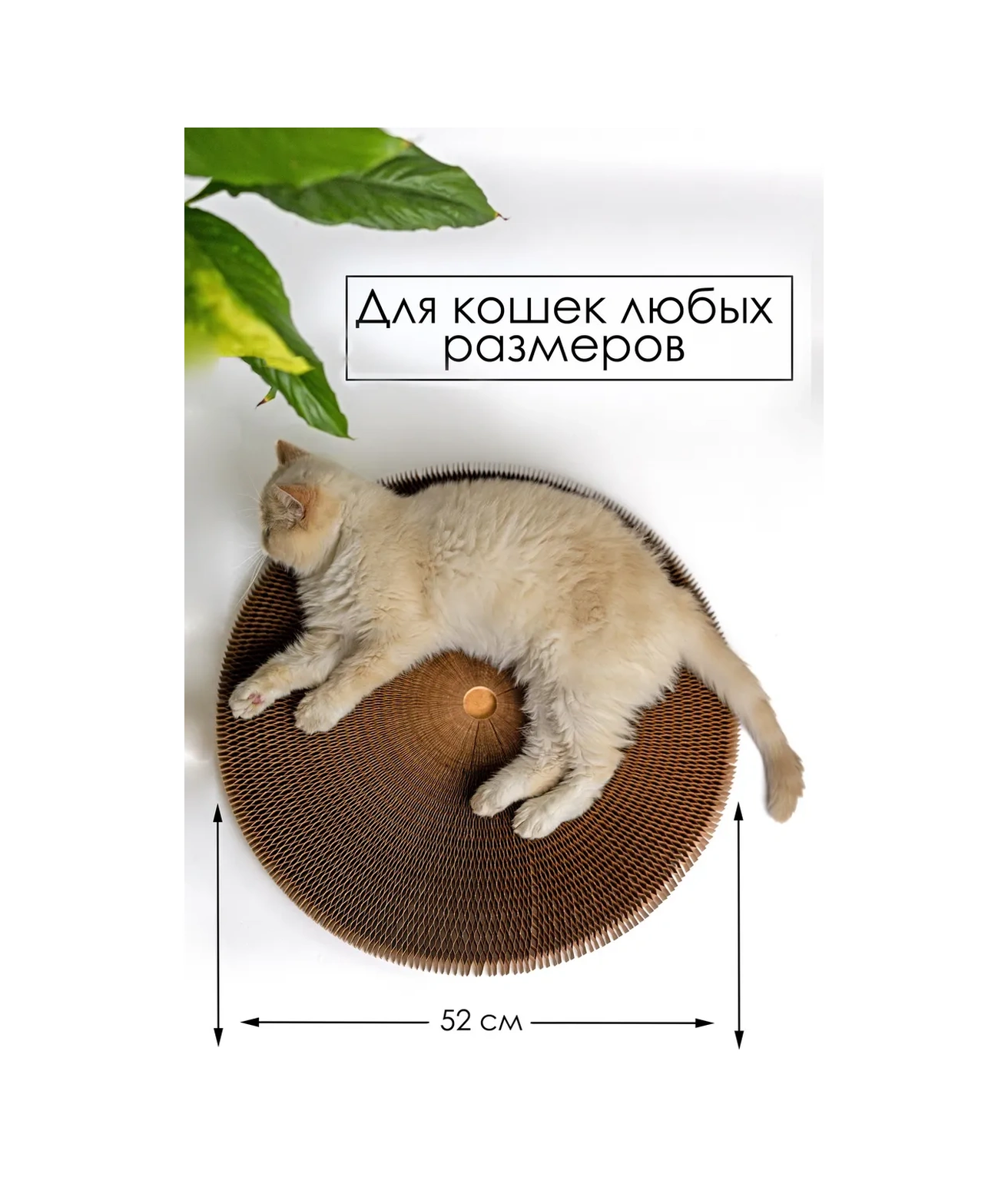 Zver'e Moe Kediler İçin Karton Tırmalama Direği 19358997