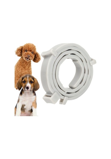 Suntek Kedi Köpek 10 Ay Koruma Evcil Hayvan Malzemeleri 62cm-gri Gri