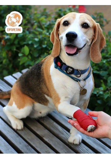 Optipetini Kendinden Yapışkanlı Esnek Veteriner Bandajı 5 Cm X 4,5 M 154793099