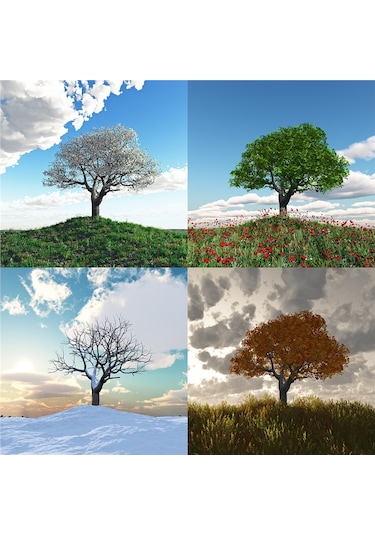 Dört Mevsim Ağaçlar Doğal Taş Bardak Altlığı 4'lü Set - Natural Stone Coasters - Taş Çok Renkli