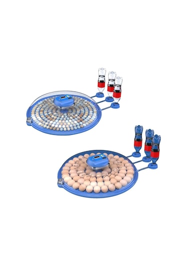 80 Tavuk 240 Kuş Yumurta Kapasiteli Çift Viyollü Kuluçka Makinesi - Kaz, Ördek, Tavuk, Bıldırcın İçi