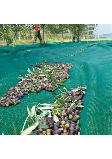 Morilu Zeytin Toplama Filesi Sergenlik Zeytin Yaygısı  Yüzde 75'lik Zeytin Filesi Toplama Örtüsü