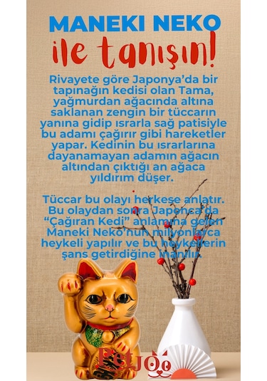 Petjoo 4.Maneki Neko Kırmızı-Mavi Qr'lı Kedi Künyesi