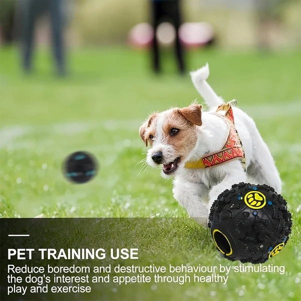 Fochsia Siyah Büyük Boy 4.7 İnç Yem Dağıtıcılı Köpek Oyuncağı - Dayanıklı Çiğneme Topu