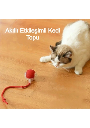 Akıllı Kendiliğinden Dönen Kedi Oyuncağı 360 Şarjlı Hareket Eğlence ve Egzersiz Kırmızı