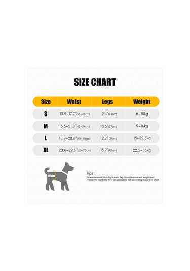 Wezone Yaşlı Ve Engelli Köpekler İçin Destekli Yürüyüş Askısı - Rahat Ve Ayarlanabilir Xl Boy Gri Tasarım Gri