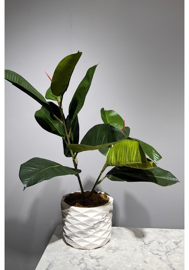 Mermer Geometrik Saksıda 2 Dal Yapay Ficus Elasticos Kauçuk Ağacı Çiçeği 75 Cm Karışık