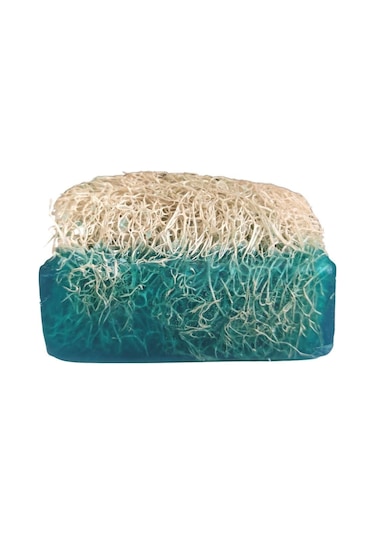 Turkishcare Kabak Lifli Okyanus Sabun 120 G