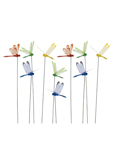 Garden With Ware Dekoratif Yusufçuk - 10'lu