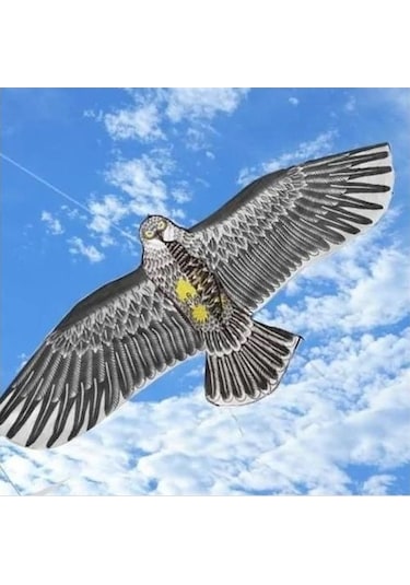 Fiberglass 3D Kartal Eagle Kuş Desenli Uçurtma 150 CM