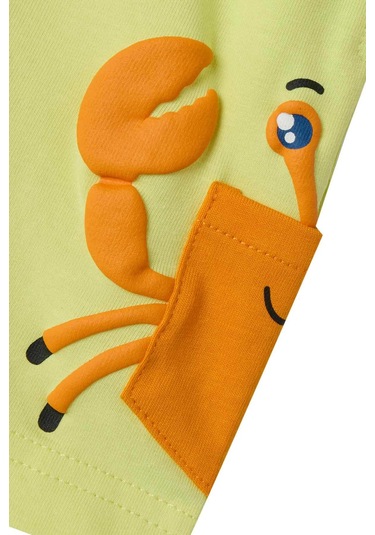 Name It Nmmzakko Nreg Shorts Box Yeşil Erkek Çocuk Şort Yeşil