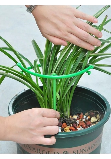 Catalea Family Bitki Destek Yuvarlak 8 Katmanlı 221270856