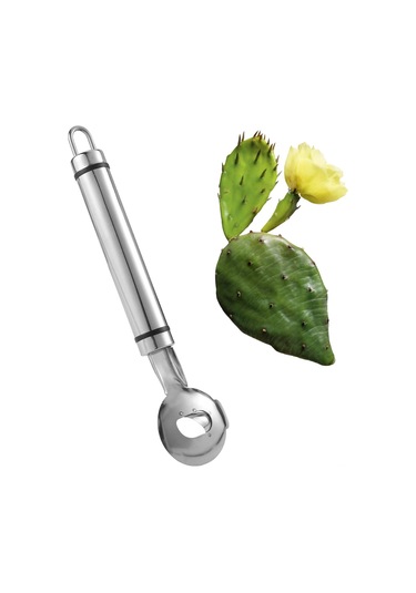 Teltree Stainless Steel Kaktüs Soyucu - Uzun Saplı Mutfak Aleti 19x4.8 Cm - Sebze Meyve Soyma Ve Kesme İçin Profesyonel Araç
