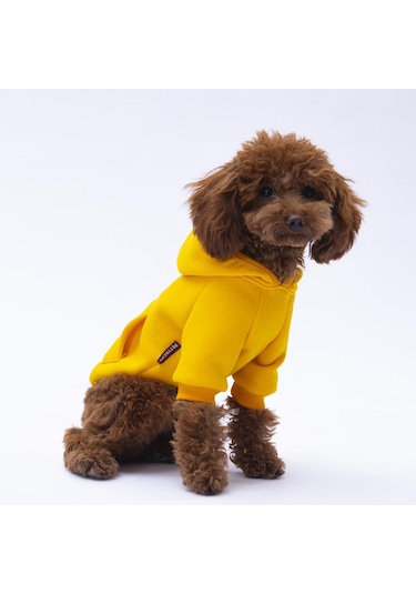 Sarı Kanguru Cepli Kedi-köpek Hoodie- Sweatshirt Kedi Köpek Kıyafeti