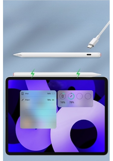 iPad Uyumlu Kapasitif Palm Rejection Manyetik Dokunmatik Stylus