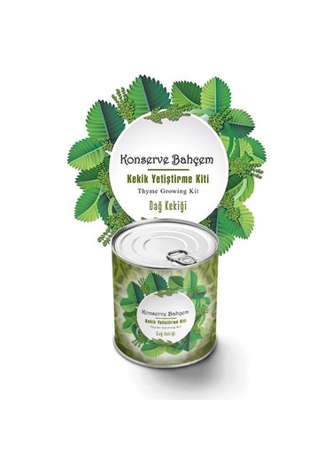 Buffer Konserve Bahçem Evde Konservede Kekik Dağ Kekiği Yetiştirme Kiti Mavi