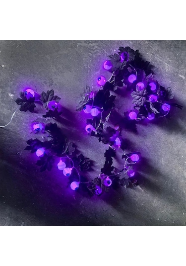 Ambition Mor-cadılar Bayramı Süslemeleri İçin 2 Metre 20 Led