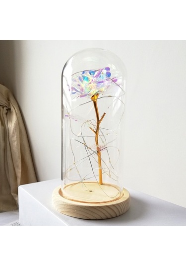 Dancemonkey Led Işıklı Cam Kapaklı Ahşap Tabanlı Gül, Sevgililer Günü Doğum Günü Düğün Hediyesi Çok Renkli Çok Renkli