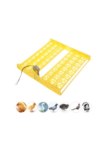 Suntek 220 V 48-digital Otomatik Yumurta Turner Tepsisi Tavuk