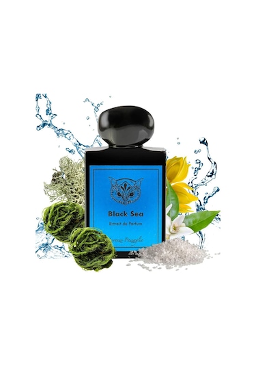 Lorenzo Pazzaglia Black Sea Erkek Parfüm EDP 50 ML