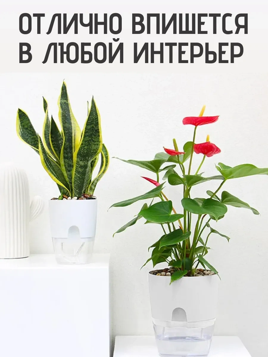 Best Room Fitili İle Otomatik Sulama Özellikli Saksı Seti 450ml 3 Adet 329660823