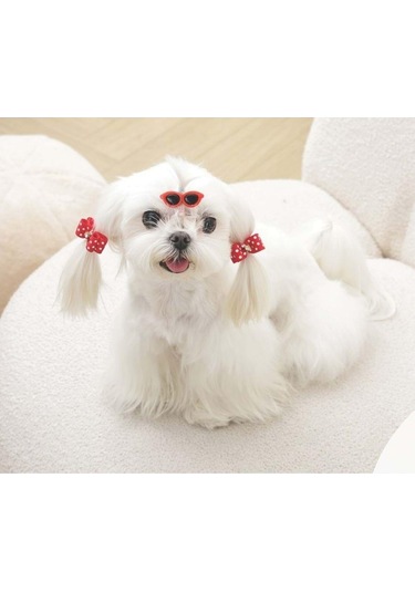 M-pets Glam Gözlük Ve Fiyonklu Kedi Ve Köpekler İçin Aksesuar Toka Kırmızı Mavi