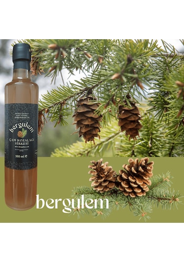 Bergulem Doğal Çam Kozalağı Sirkesi 500 ML