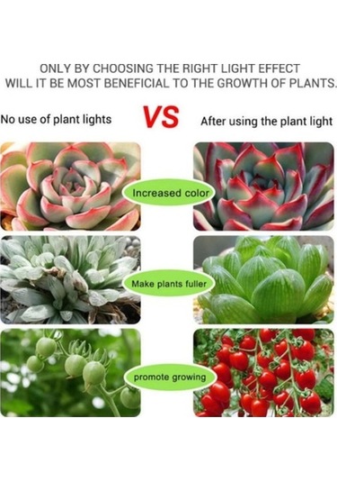 Pazly Yetiştirme Usb Tohumları Geniş Spektrumlu Şerit Sera Phyto Led Lamba İç Dc Çiçek Çadırı Bitki 5v 3m 2m 1m Qc 5m Waterproof