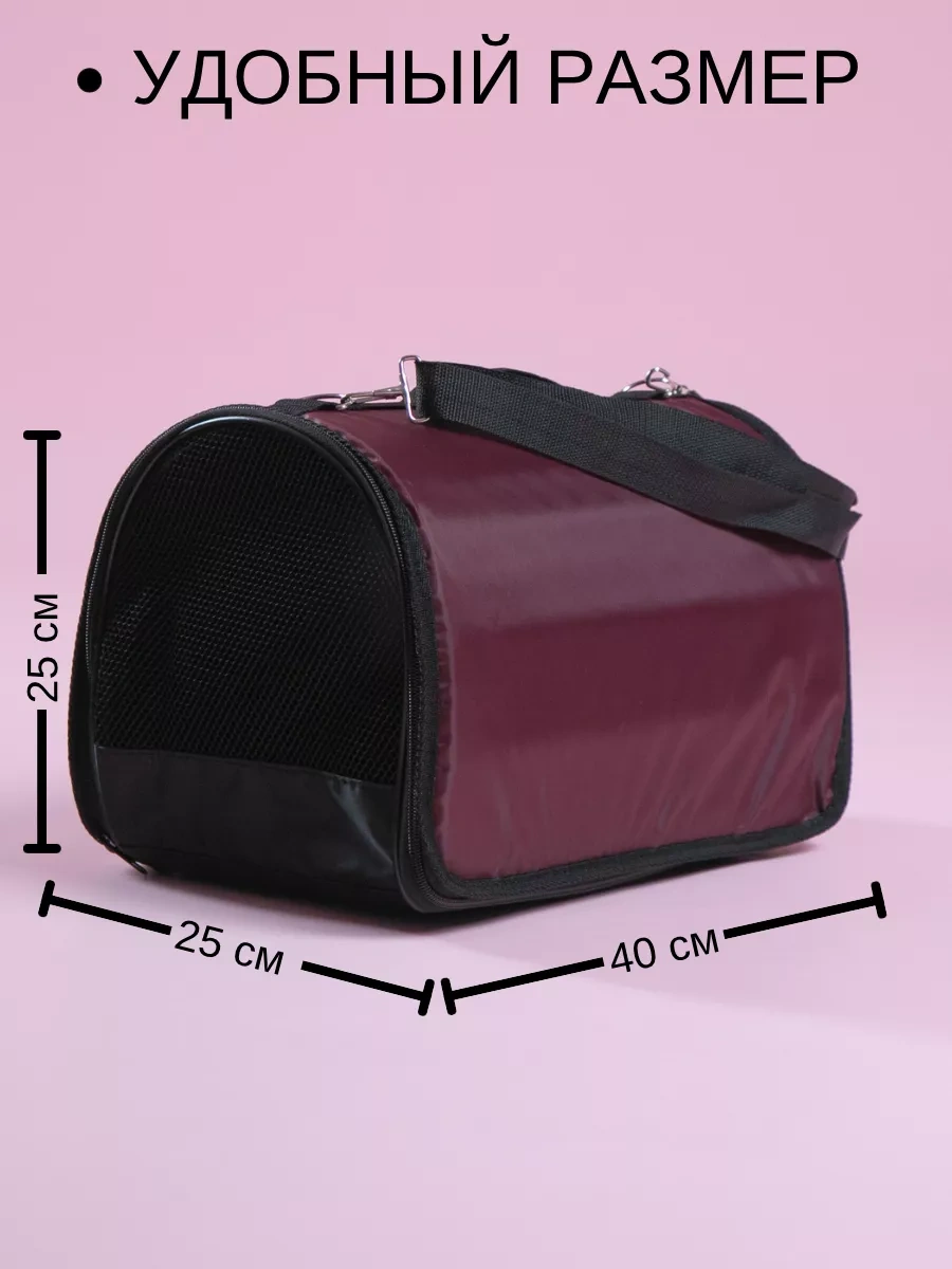 Bobrıkgora Katlanabilir Kedi Ve Köpek Taşıma Çantası 103769062