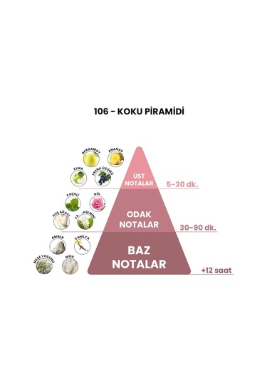 BEX 106 Erkek Parfüm EDP 50 ML