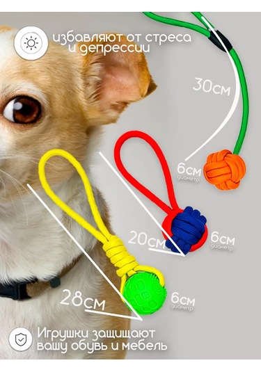 Zoolend Köpekler İçin 6'lı 1'de Oyuncak Seti 269544426